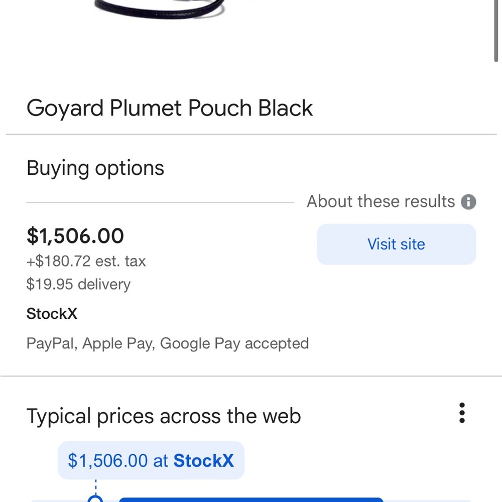 Goyard plumet pouch